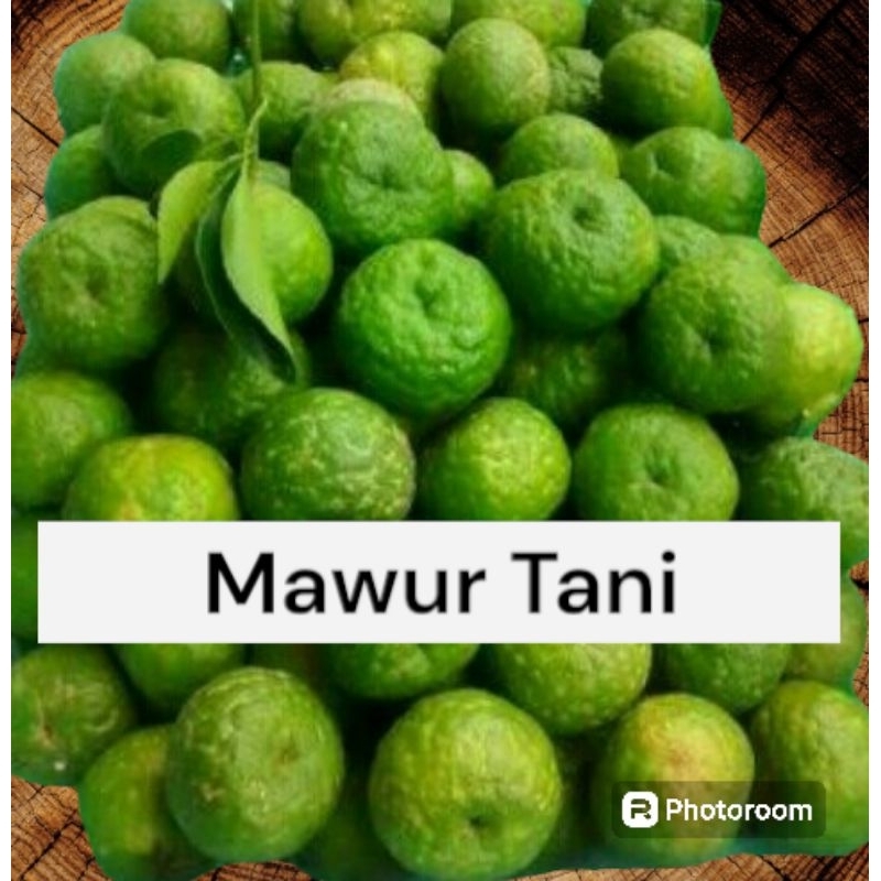 

Jeruk limau/Jeruk sambal (1kg)