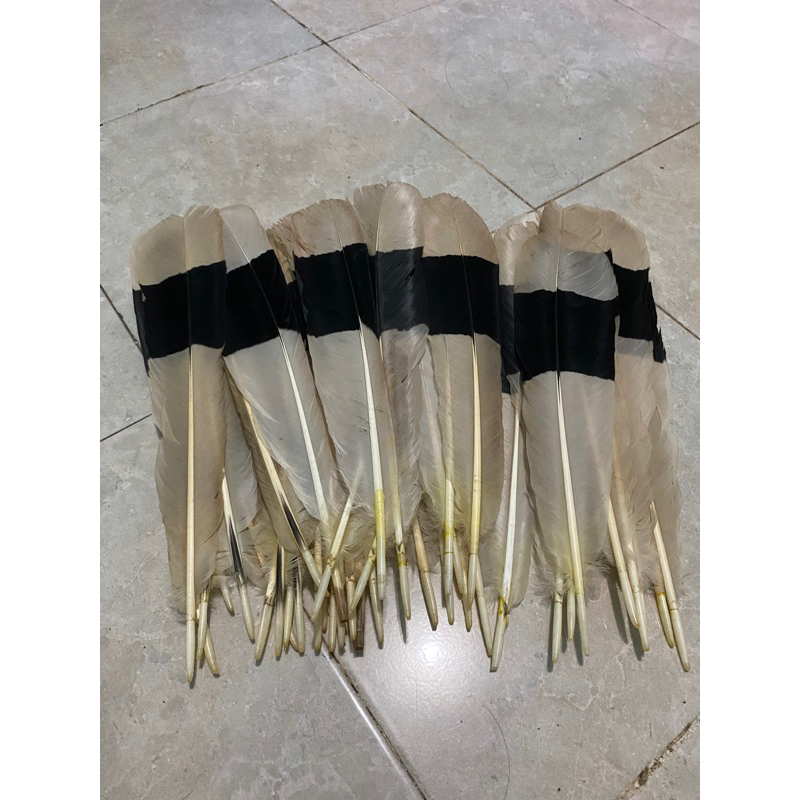Aksesoris Bulu tari sanggar