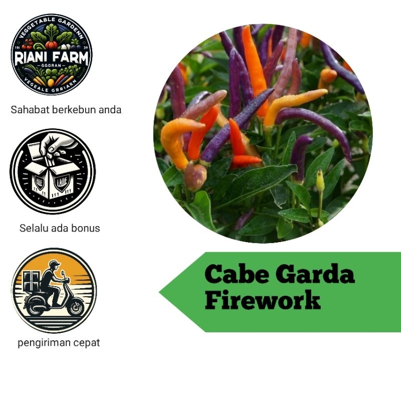 

Cabe Garda Firework