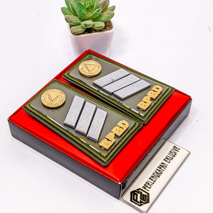 PANGKAT BPBD HONORER S1 - PANGKAT BPBD S1 - PANGKAT BPBD - PANGKAT BPBD GOLONGAN 2C - PANGKAT BPBD 2