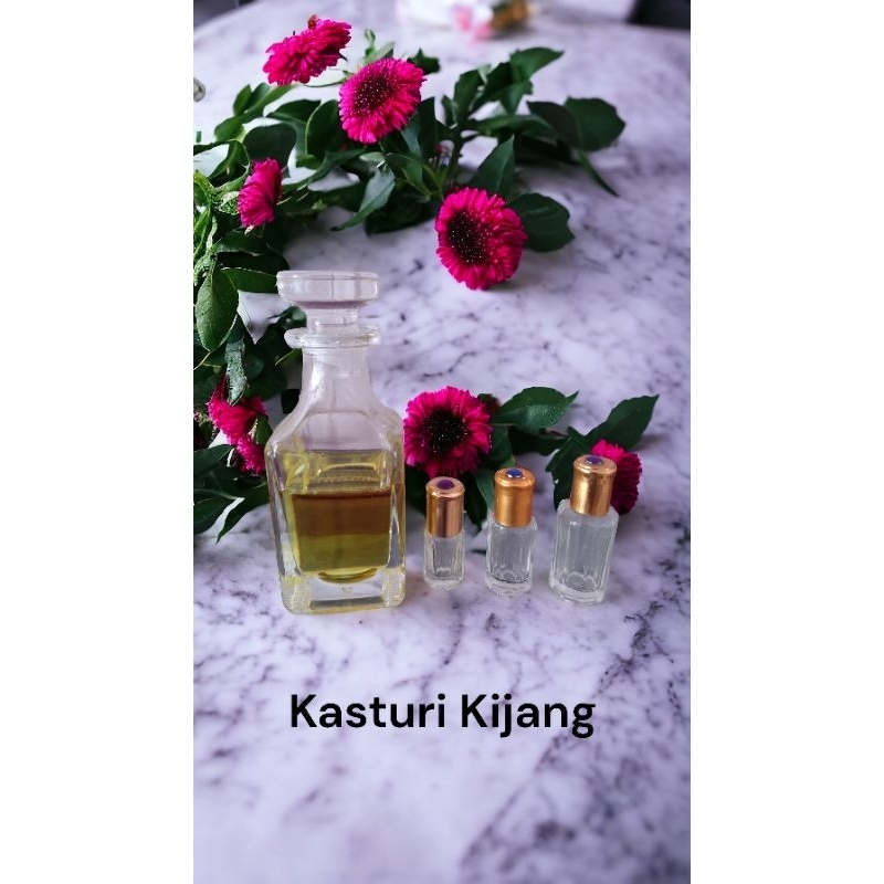 Kasturi Kijang Bibit Biang Minyak Kasturi Kijang