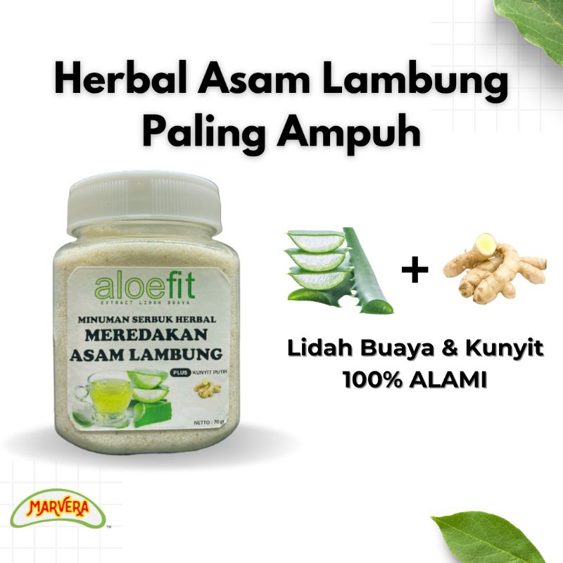 Obat Herbal Asam Lambung Ampuh dari Lidah Buaya Kunyit Alami