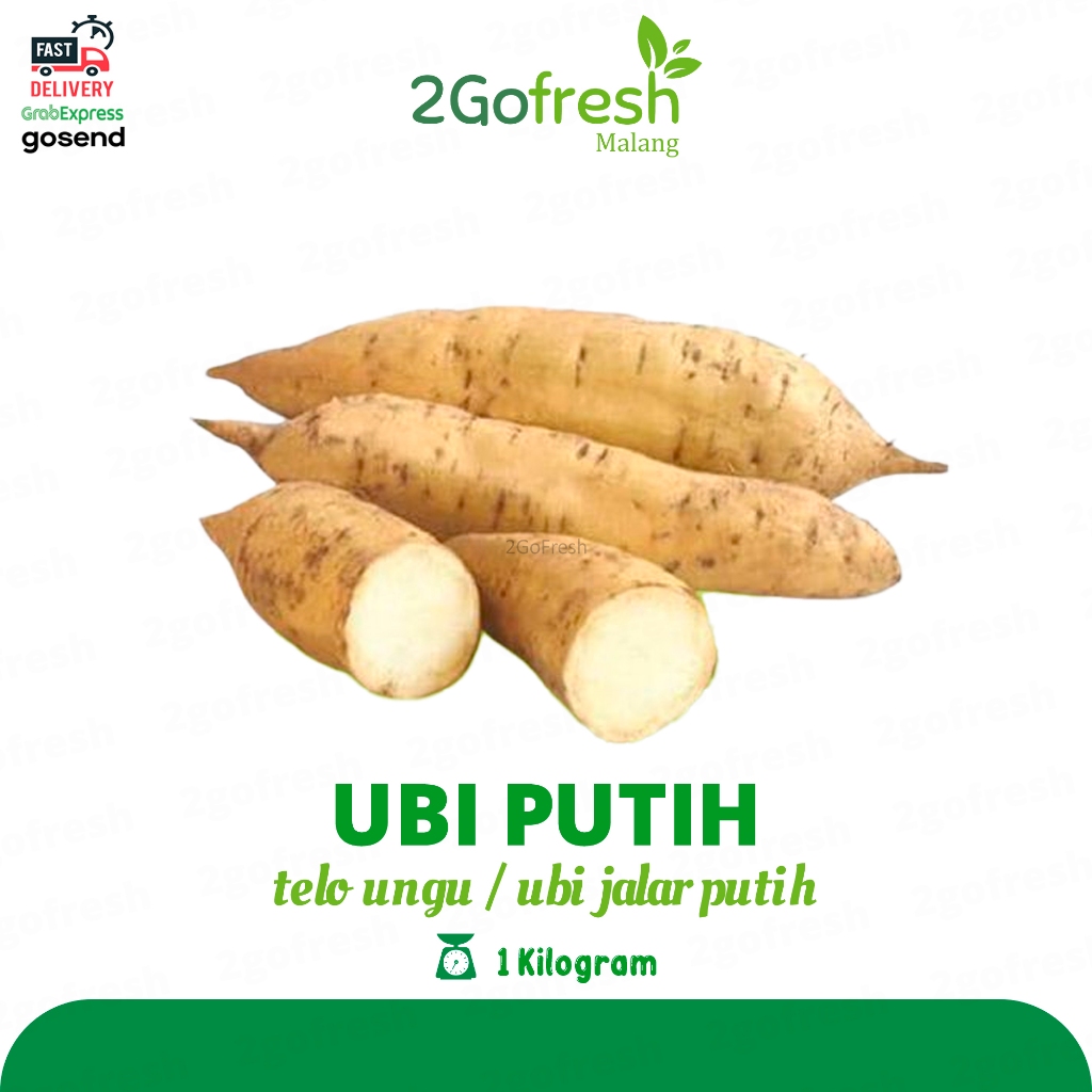 

Ubi Putih / Telo Putih Madu Fresh - Sayur Sayuran