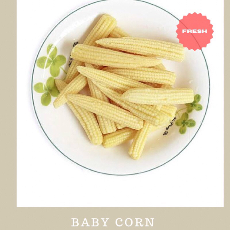 

jagung semi jagung baby / putren / baby corn / jagung muda untuk capcay / jagung kecil / baby jagung