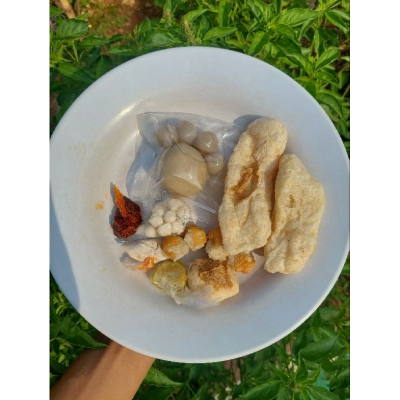 

boci ayam suwir