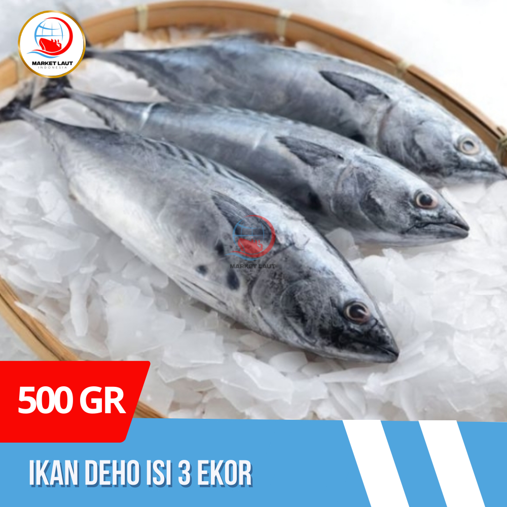 

Ikan deho 500-600 gr isi 3 Ekor Deho / Ikan Tongkol Fresh