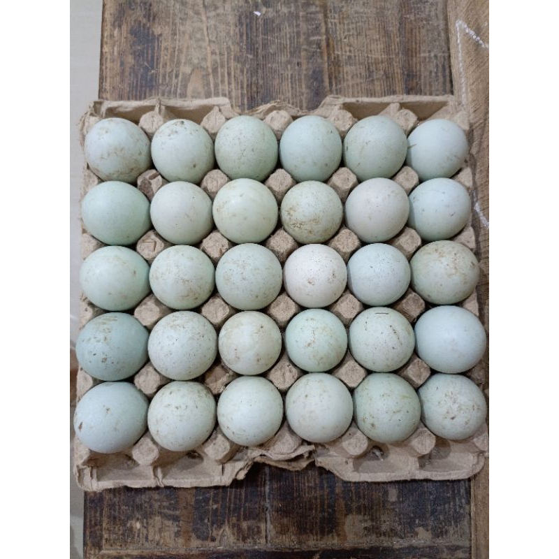 

Telur Bebek Omega Super 30 butir