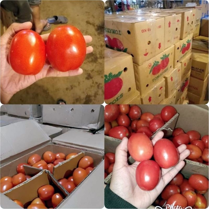 

Tomat 1kg