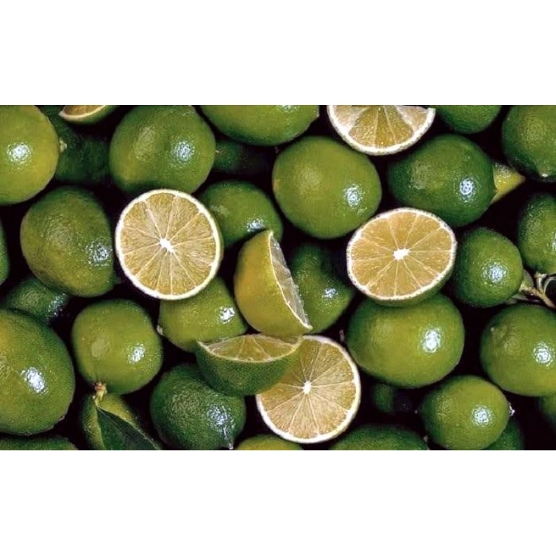 

Jeruk Nipis 1kg