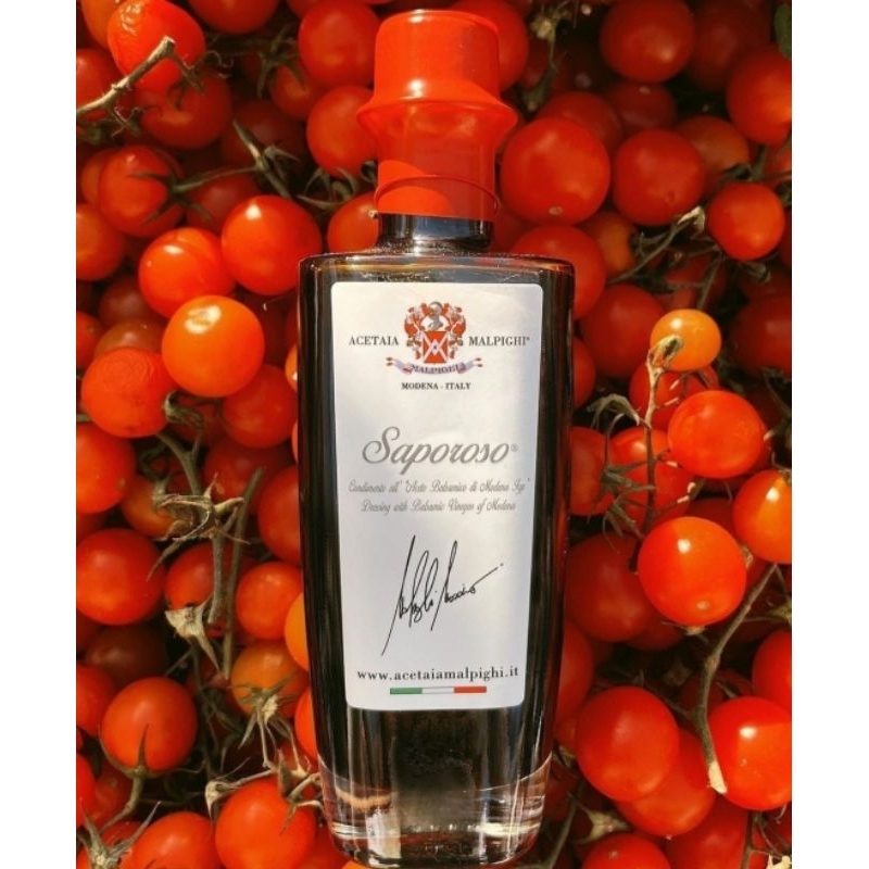 

Balsamic Vinegar 100ml Saporoso Aged 6 Years - Acetaia Malphigi