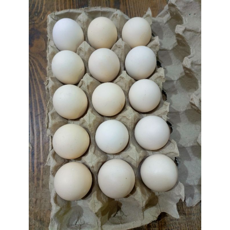 

Telur Ayam Kampung 15 Butir