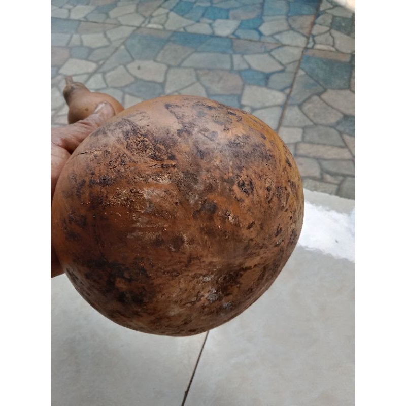 Labu Cina / Botol Air Minum