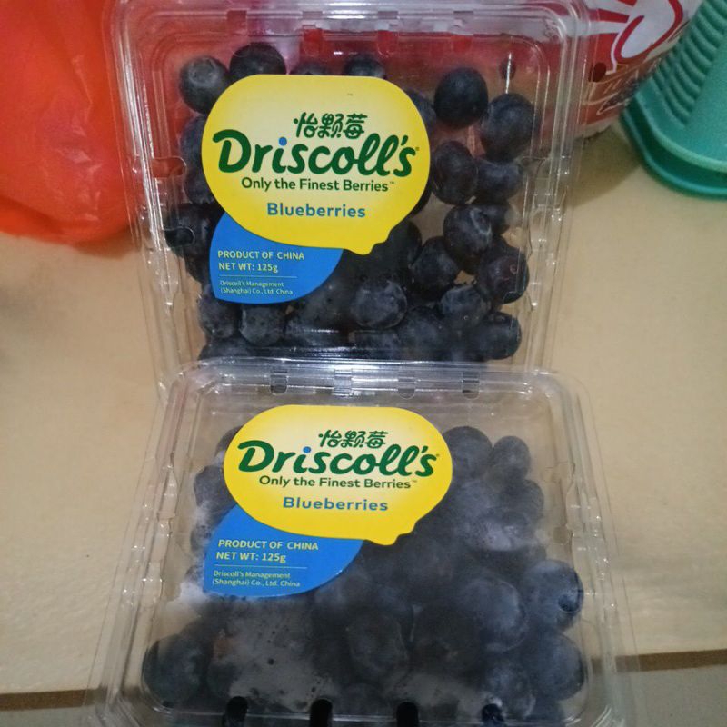 

Blueberry driscoll