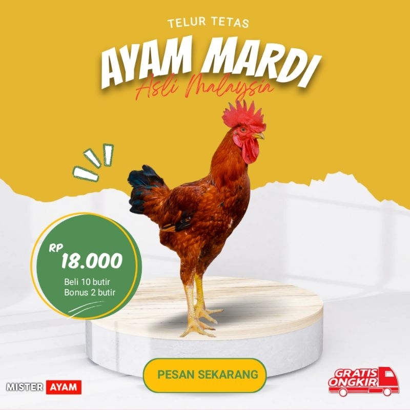 

TELUR AYAM MARDI SUPER