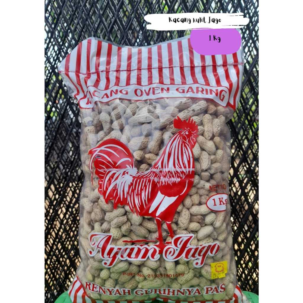 

kacang kulit jago