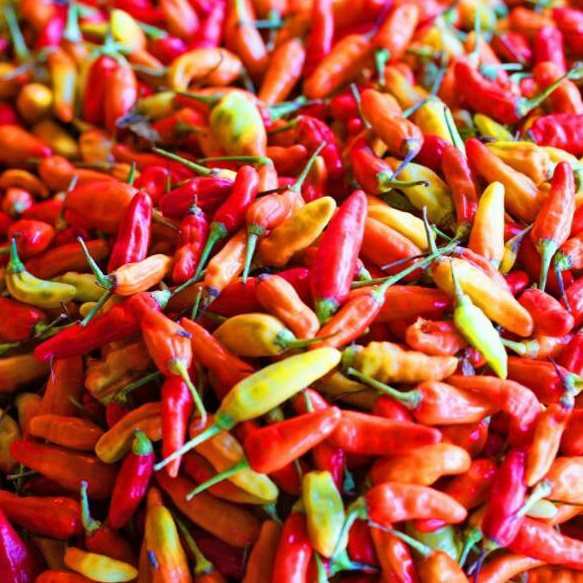 

TERMURAH Cabe Cabai Rawit Merah 5 gr