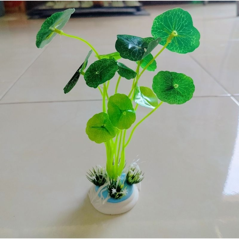 Tanaman aquarium Teratai hijau panjang, tanaman aquascape teratai hijau panjang, tanaman plastik ter