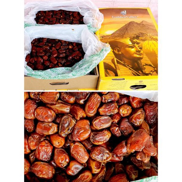 

Murah Lebay Kurma GOLDEN VALLEY Kurma BARARI ZAHDI Kurma Sukari Al Qassim Kemasan 1 Kg Kurma Basah Mesir Empuk 1 gram