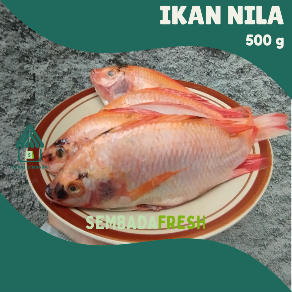

Ikan Nila 500 g - SEMBADA FRESH [Pengiriman Instant]