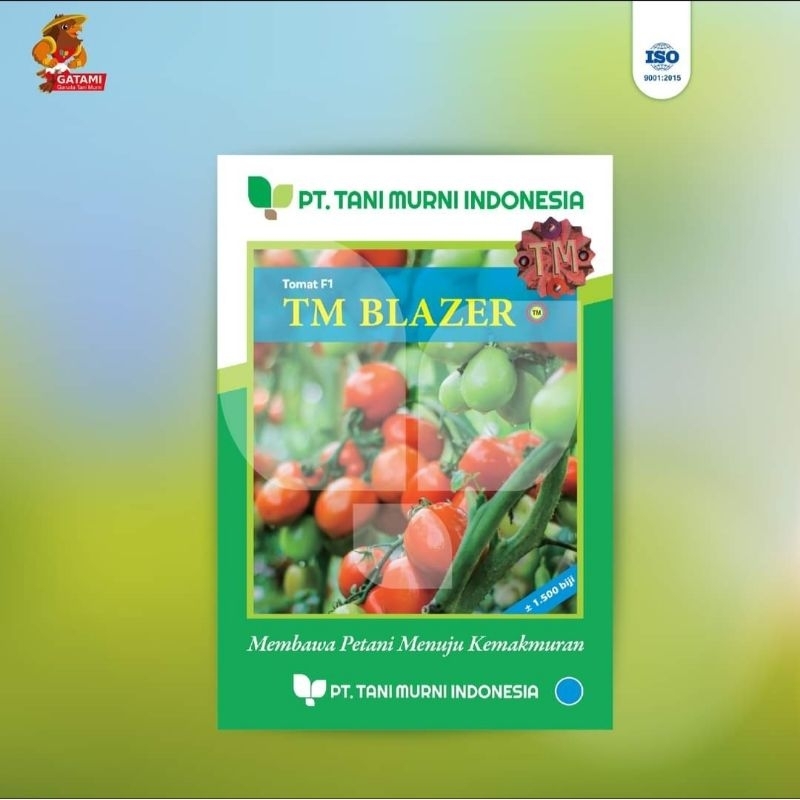 Benih Tomat Hybrida TM BLAZER F1 - benih tomat Original kemasan 1500 biji
