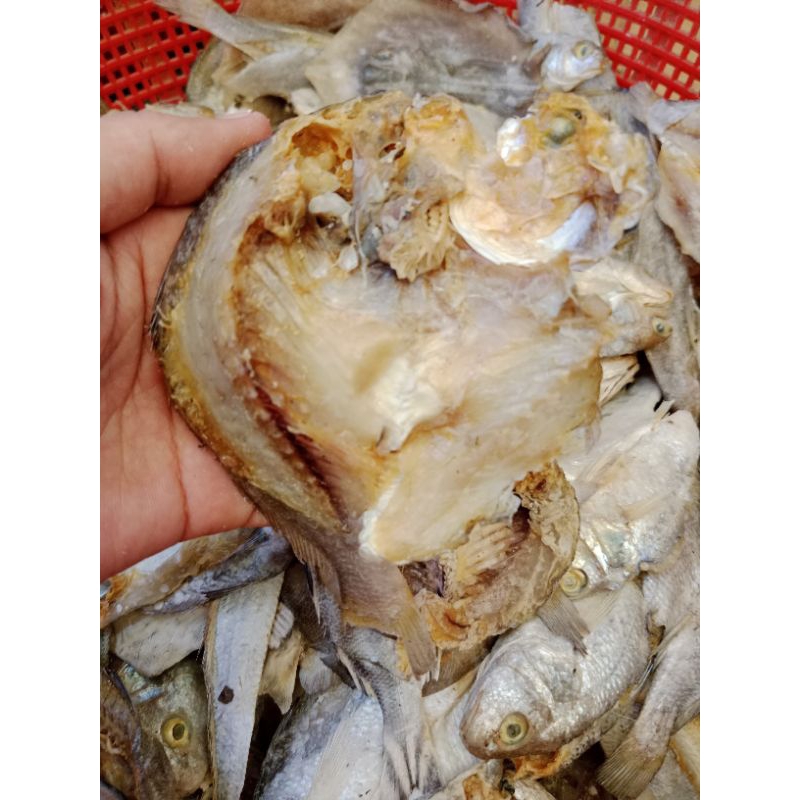 

ikan asin gulama berat 1 kg