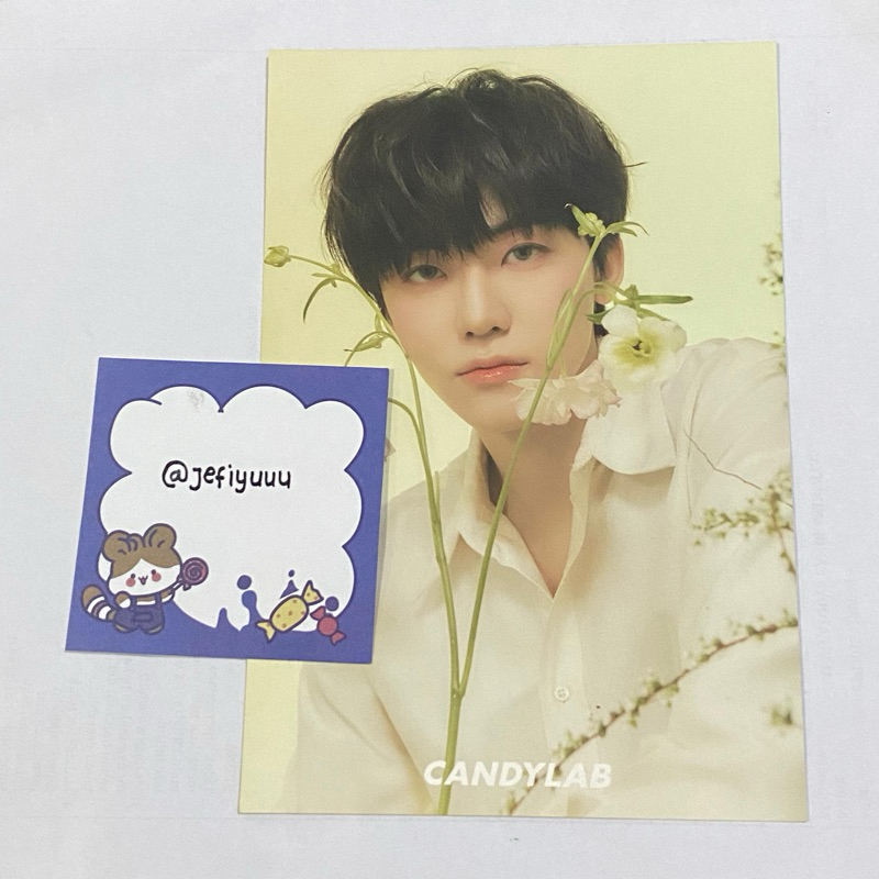 Postcard Na Jaemin Candylab ver 3 v3 vol 3 Candylab x nct dream (baca deskripsi)