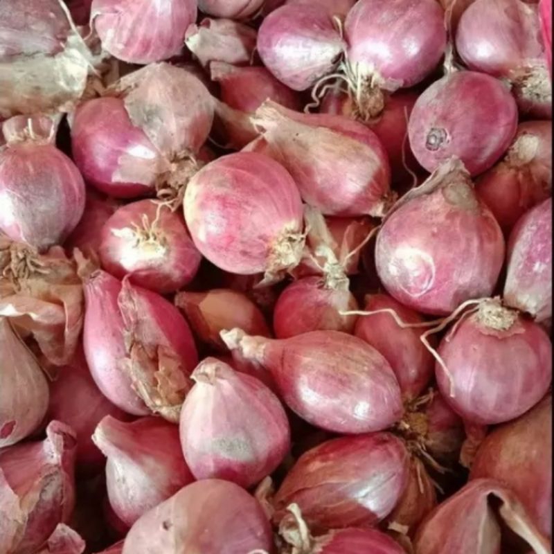 

Bawang Merah Brambang Segar Fresh Kiloan 500gr 500 gr gram - Aneka Bumbu Dapur