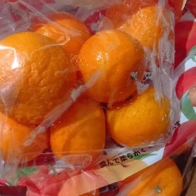 

Jeruk Wogan wokam pack 750 gr