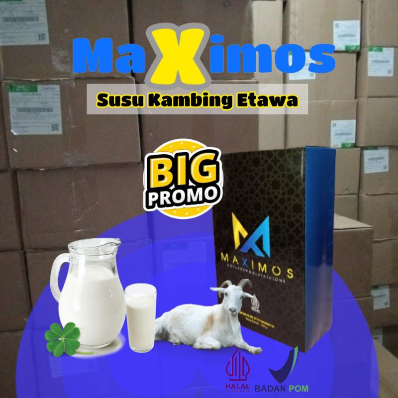 

1 Dus @25 box Maximos Susu Kambing Etawa Plus Collagen 100% Asli (200 gram)