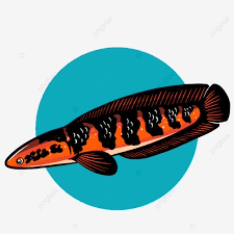 

stiker red barito 6-7 cm