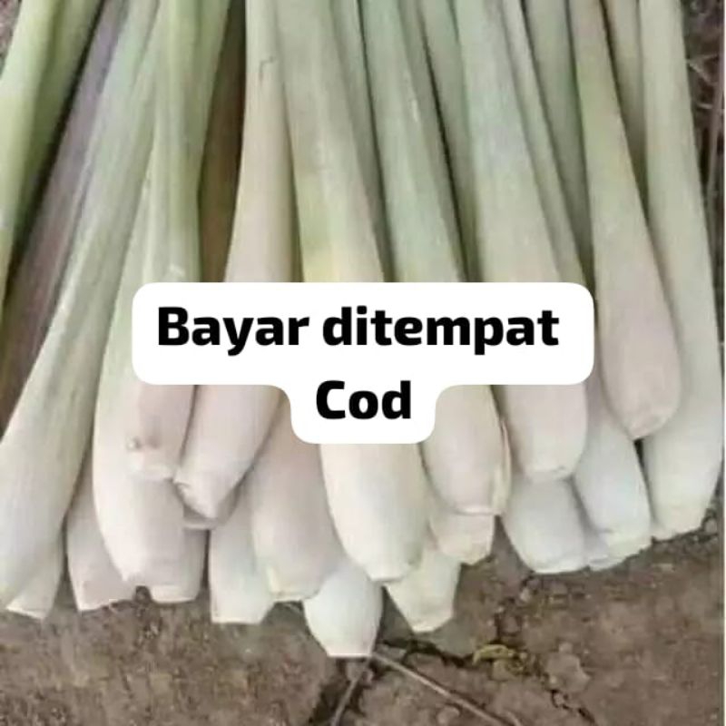 

Sereh Segar 500gram
