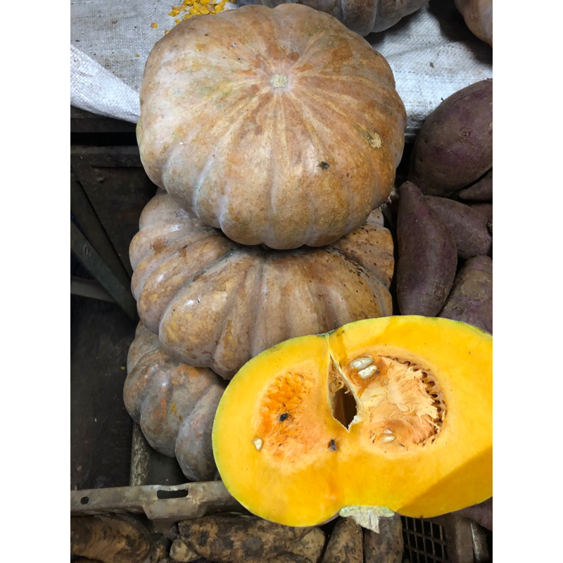 

WALUH LABU KUNING 2kg fresh