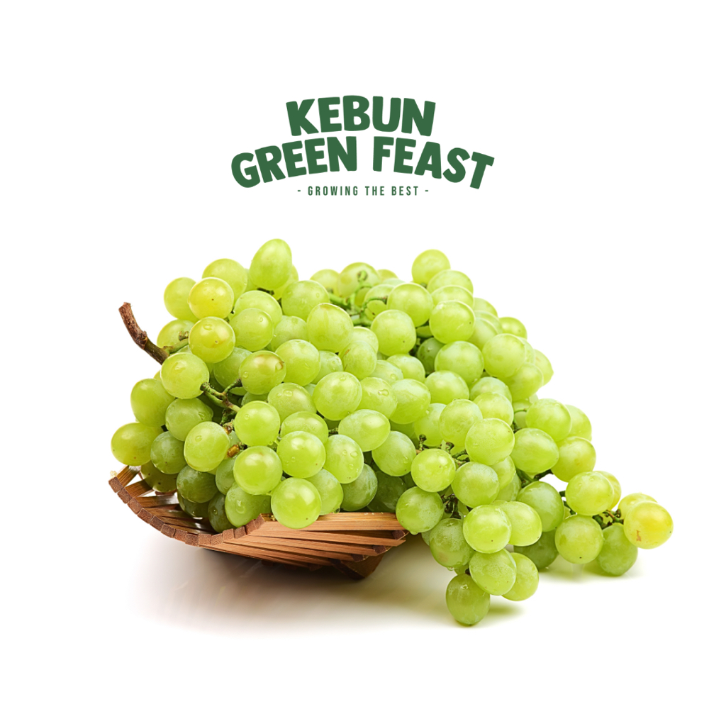 

Anggur hijau Seedless -Fresh Fruit - Buah Import