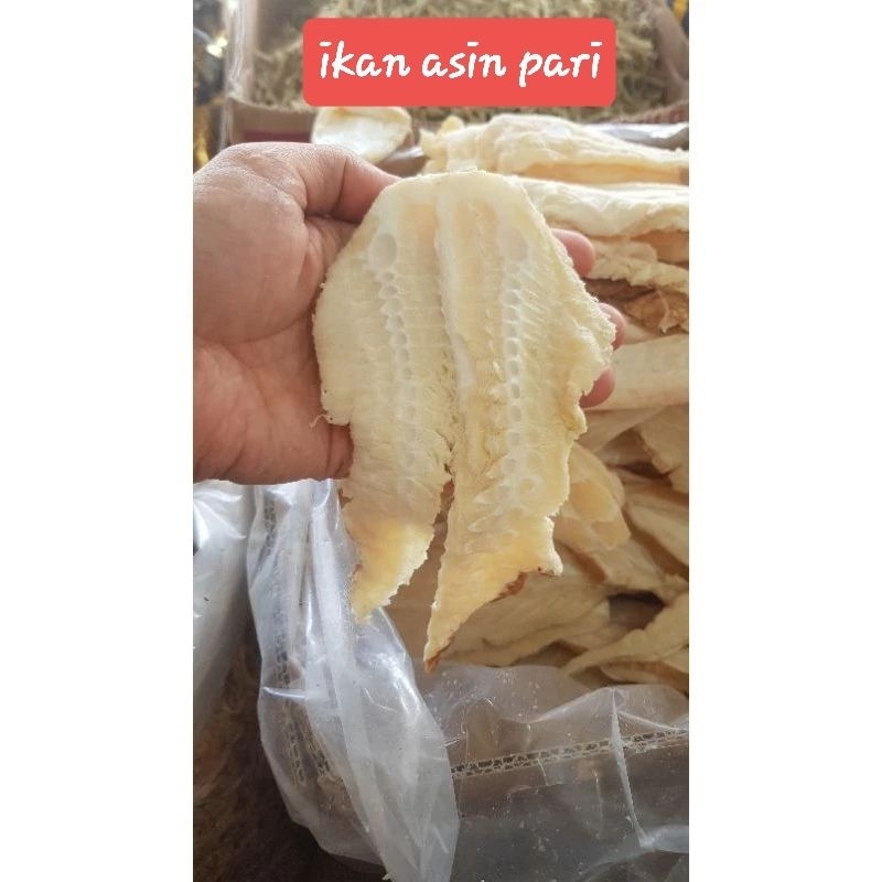 

ikan asin serba murah 10rb ikan cumi ikan sepat kecil gabus dendeng manis japuh rebon asin rebon pakang kapasan teri tawar cucut peda dll