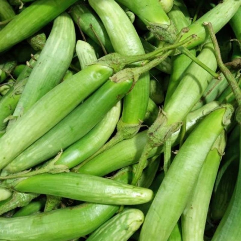 

terong Medan/telunjuk 1kg