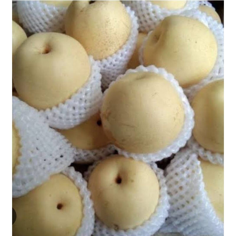 

buah pear / pampang online