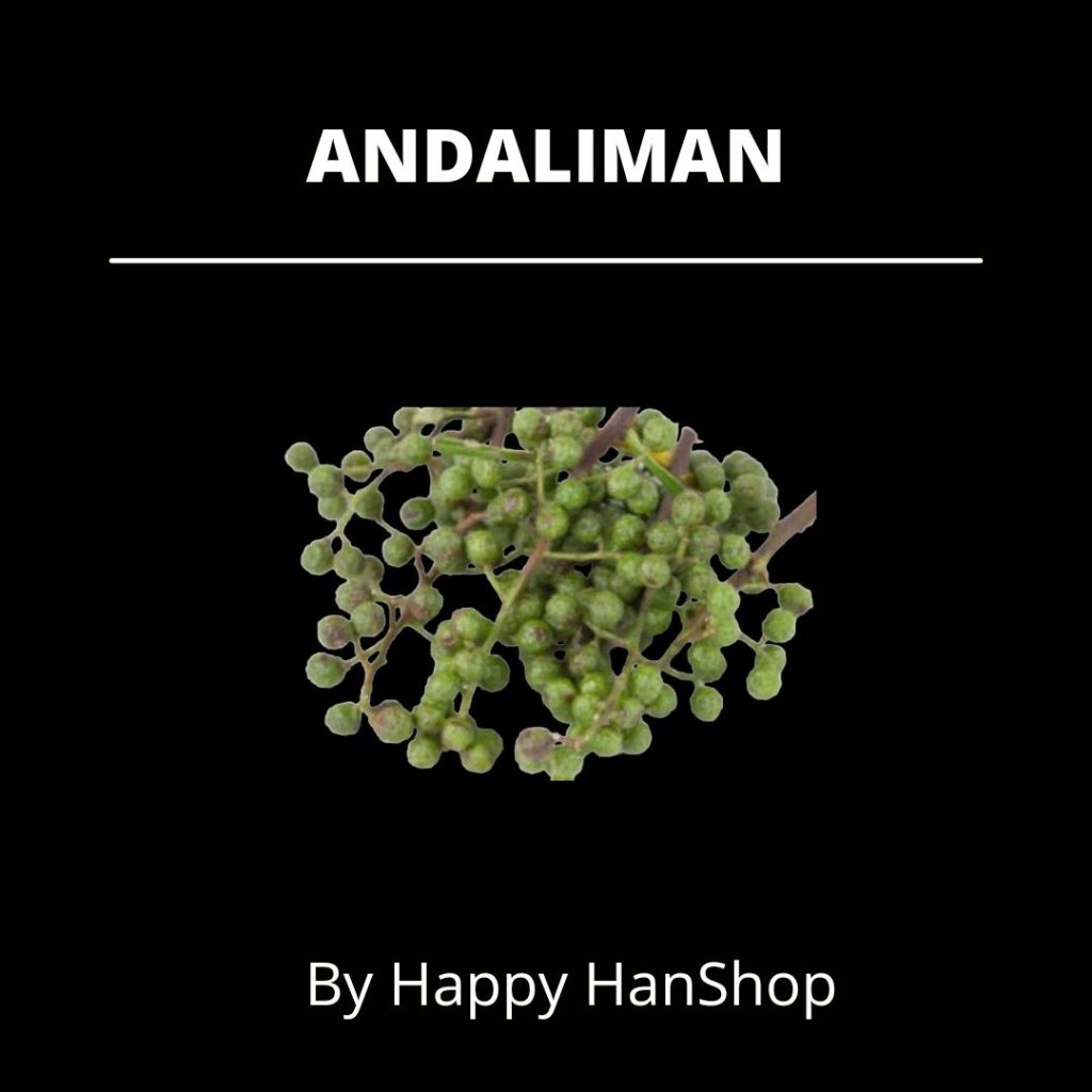 

Andaliman Bubuk Halus / Andeliman KHAS MEDAN