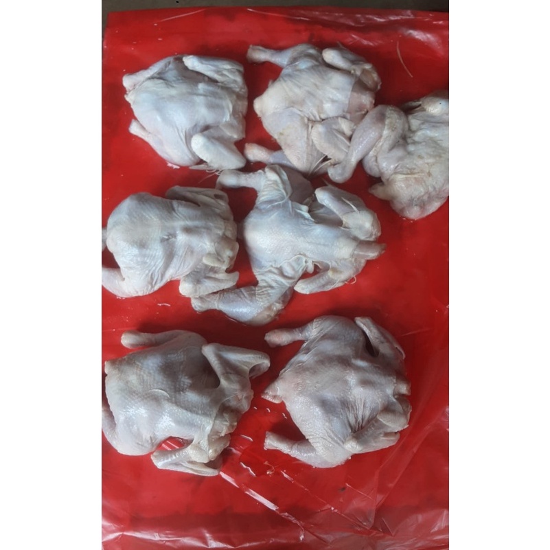 

PROMO MURAH Ayam broiler frozen promo 3gramayam murahayam potongayam broiler