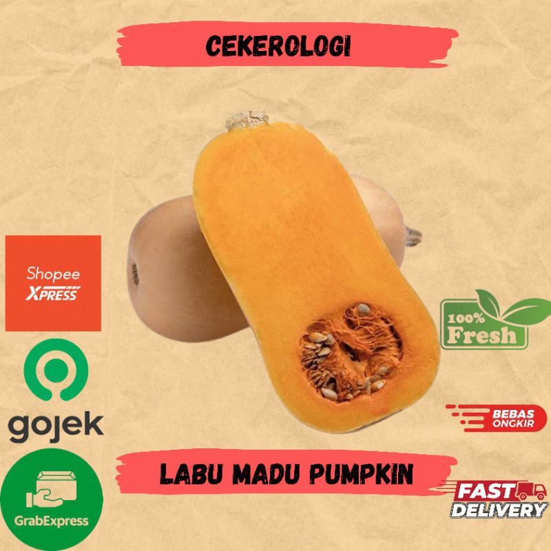 

Labu Madu 1buah / Labu Madu Pumpkin / Labu Madu JABODETABEK / Labu Madu Fresh Berkualitas / Labu / Sayuran / Sayuran