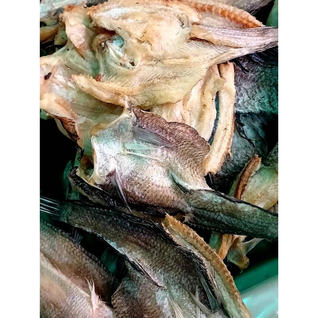 

Ikan asin gabus