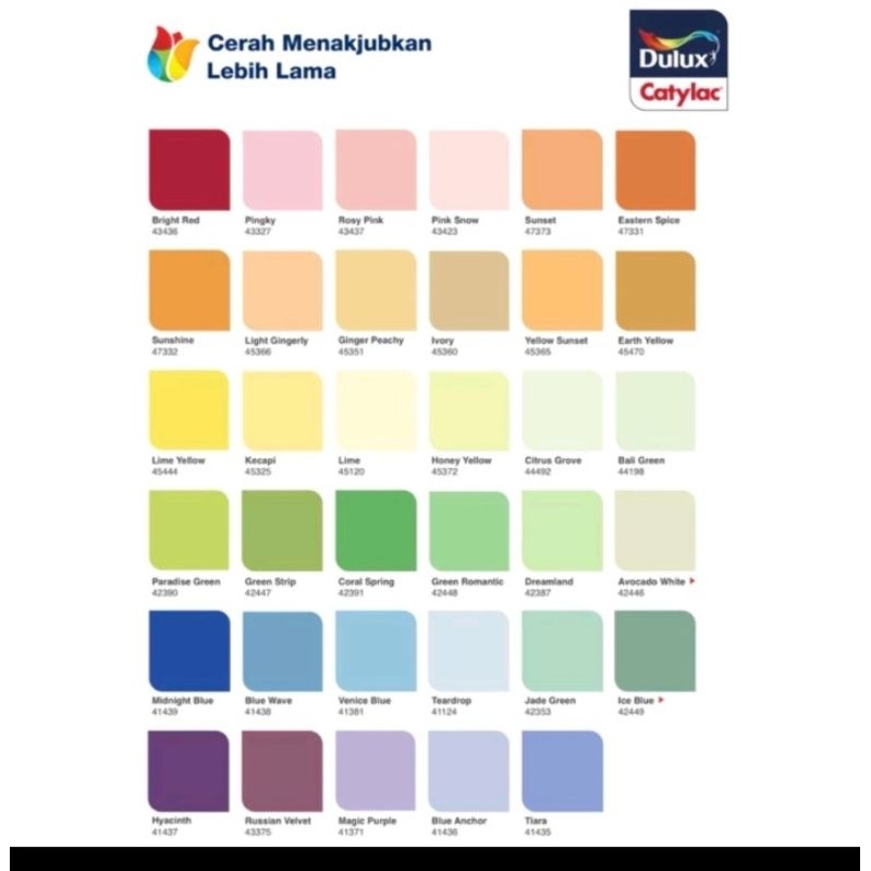 Cat Dulux Catylac Tinting -5kg- Cat Interior Dulux Catylac 5kg