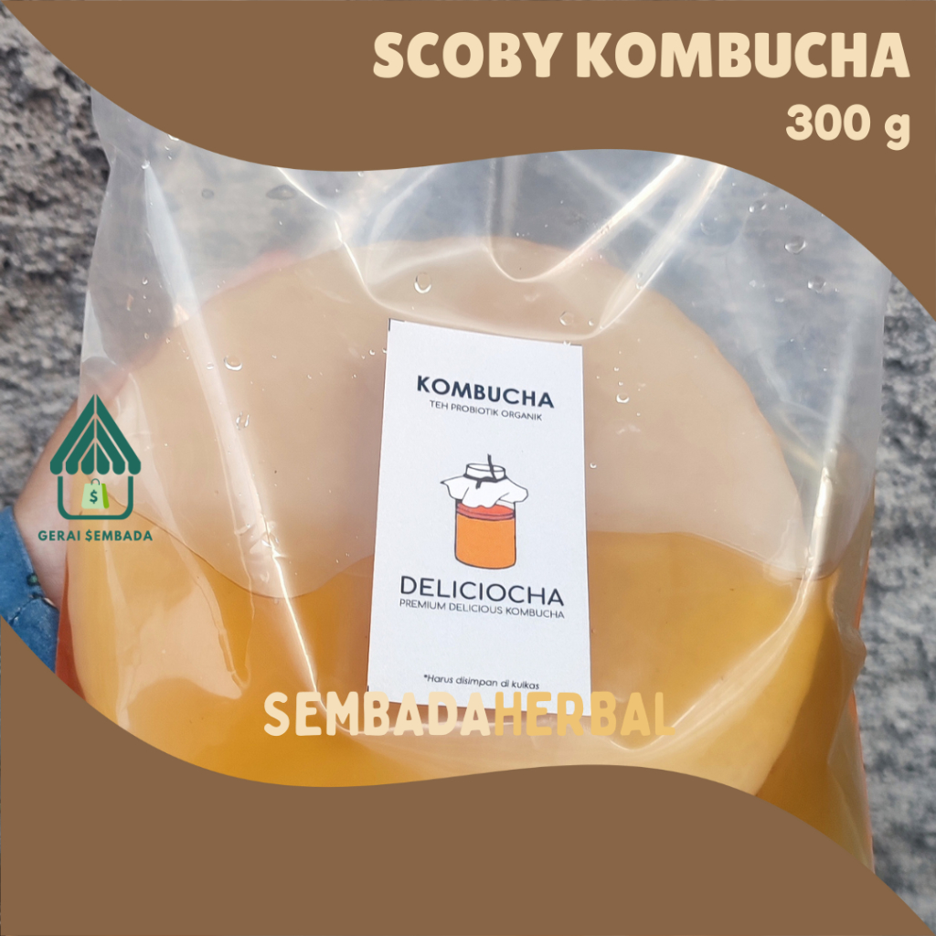 

Scoby Teh Kombucha Bibit Jamur Kombucha / Starter Teh Kombucha Premium Organik