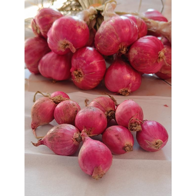 

Bawang Merah 1kg asli Probolinggo ukuran Besar