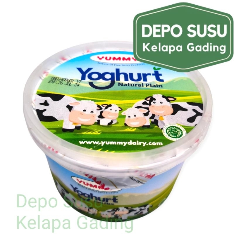 

Yummy Yoghurt 500gr Natural Plain / Skim Yogurt Stirred Natural Tawar 500 gr g