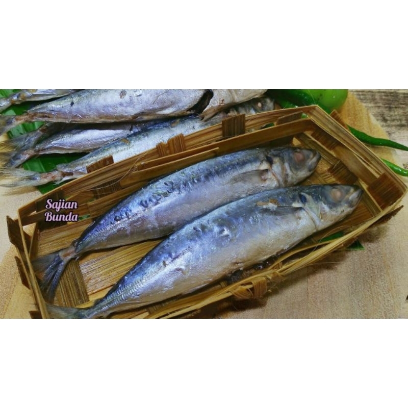 

ikan tongkol cuek rebus 1pcs utuh