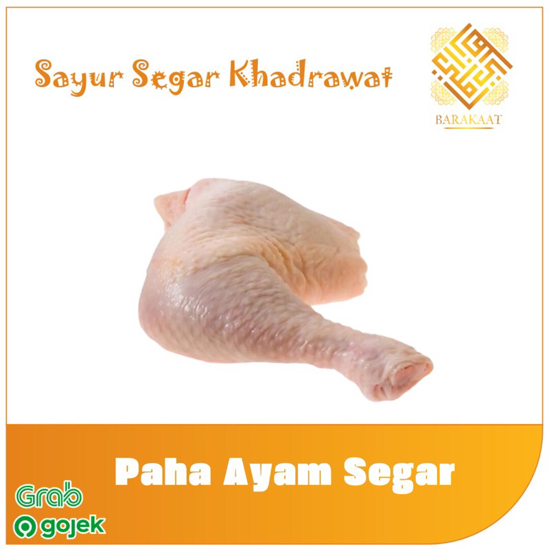 

Paha Ayam Segar 500 Gram