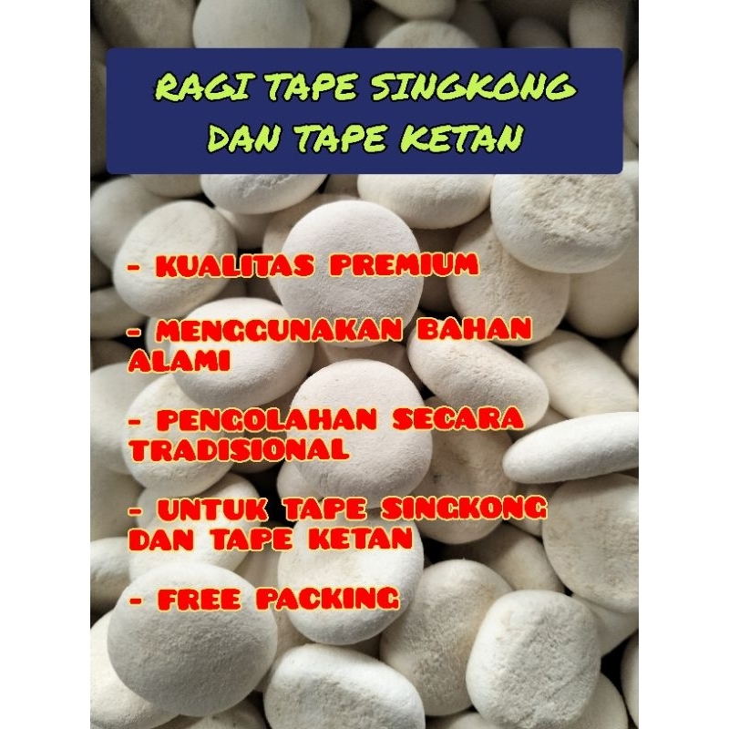 Ragi Tape manis ukuran kecil, cocok untuk pembuatan tape ketan dan singkong.