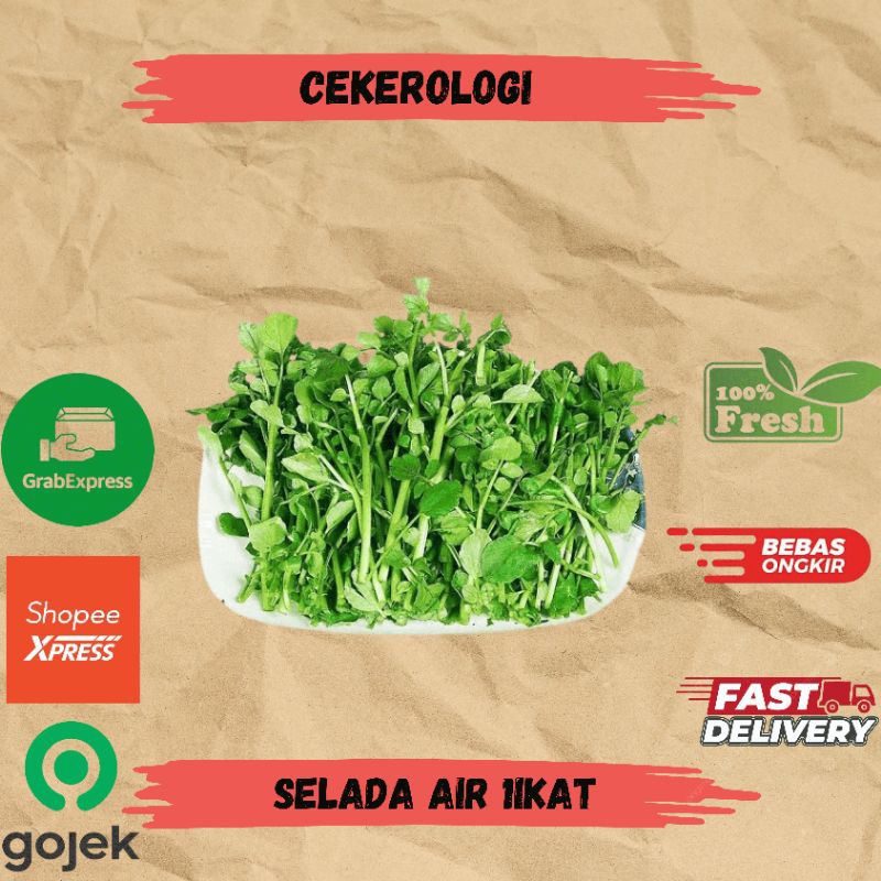 

Selada Air 1ikat / Selada Air / Slada Air / Selada Air Fresh Berkualitas / JABODETABEK / Selada / Sayur Segar / Sayuran / Sayur