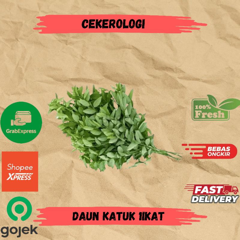 

Daun Katuk 1ikat / Daun Katuk / Daun Katuk Fresh Berkualitas / Daun Katuk / JABODETABEK / Sayur Segar / Sayuo / Sayur