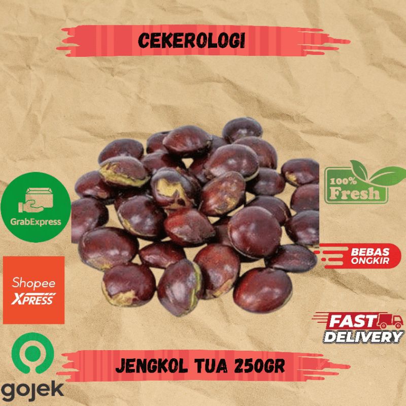 

Jengkol Tua 250gr / Jengkol Tua / Jengkol Tua Fresh Berkualitas / JABODETABEK / Jengkol / Sayur Segar / Sayuran / Sayur